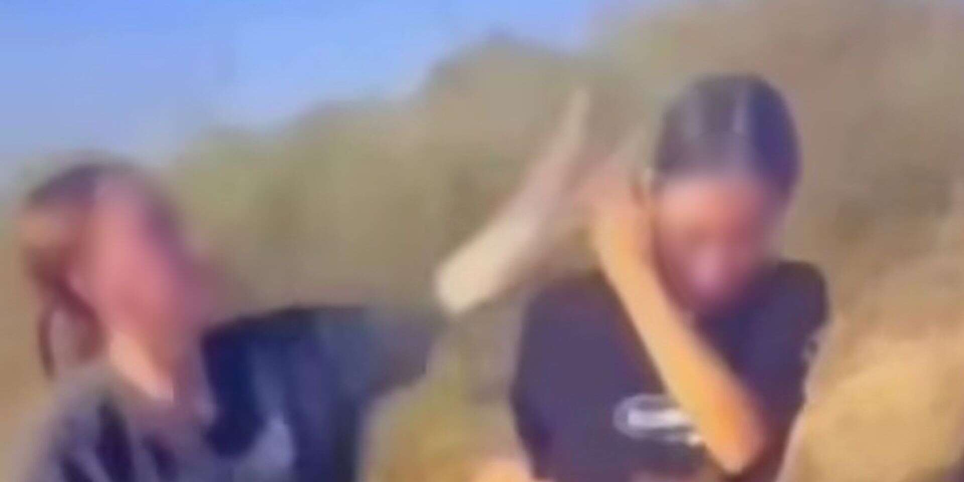 נערות תקפו נערה בחולות של חולון , צילום מסך מתוך פייסבוק