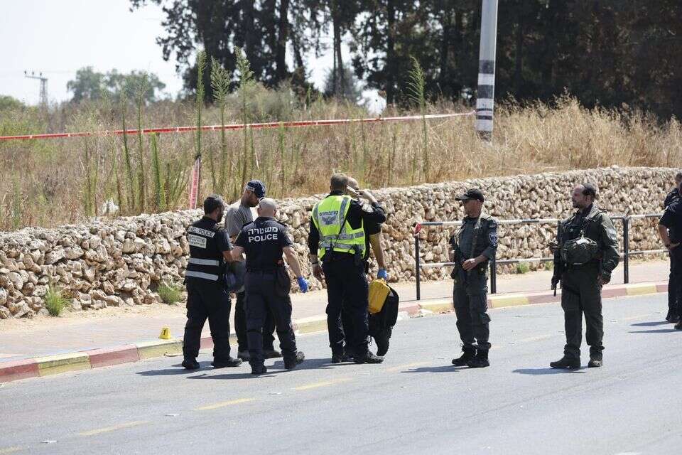 פיגוע דריסה סמוך לכפר יונה , .