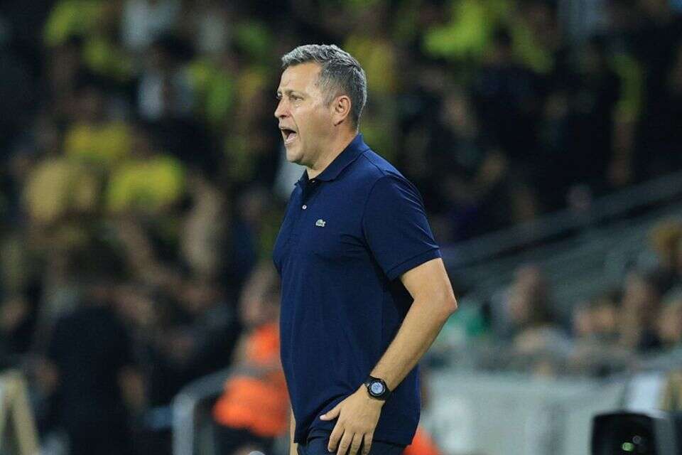 דייגו פלורס , אלן שיבר
