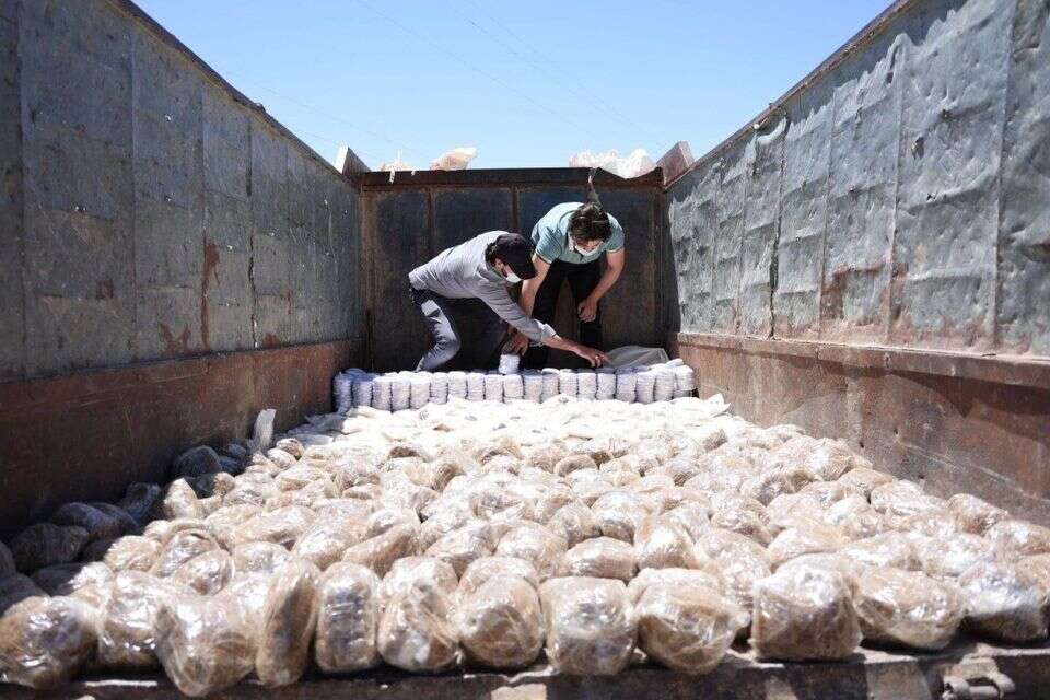 אלפי כדורי קפטגון שנתפסו על ידי המשטר בסוריה , רשתות ערביות