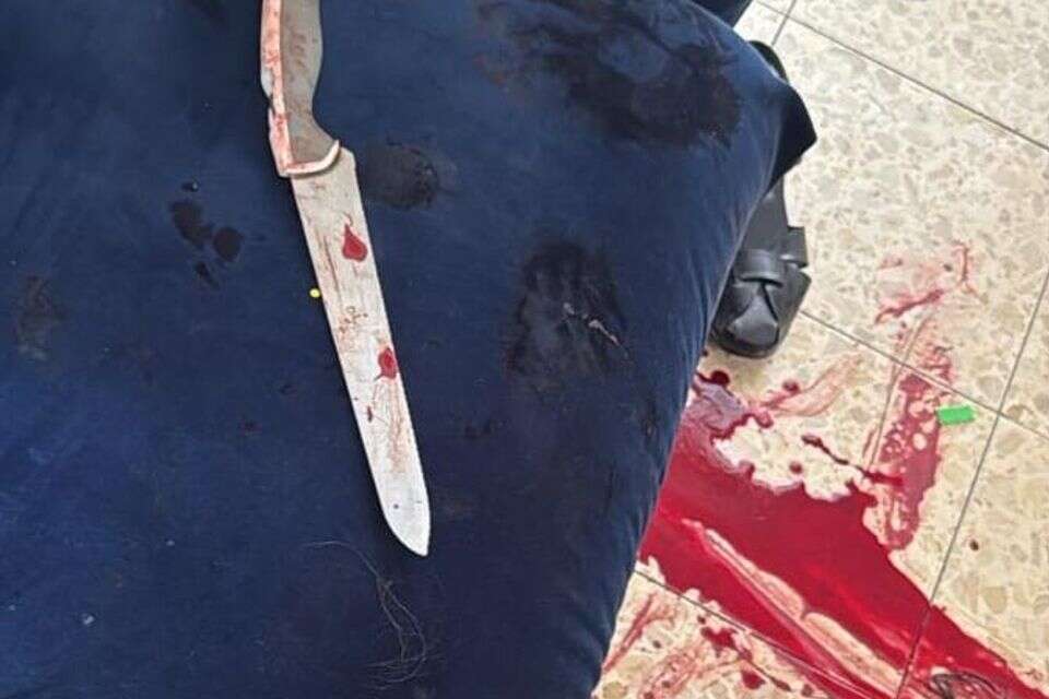 הצהרת תובע הוגשה נגד בן 24 מתל אביב שדקר את אמו ופצע אותה באורח קל , דוברות המשטרה