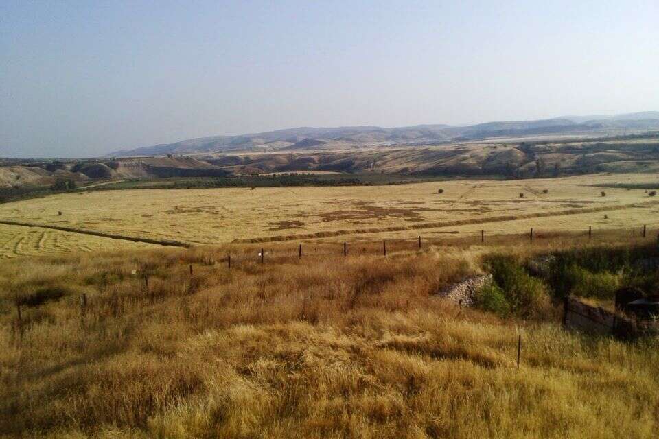 נוף ממוצב הציפור , ירוק עכשיו