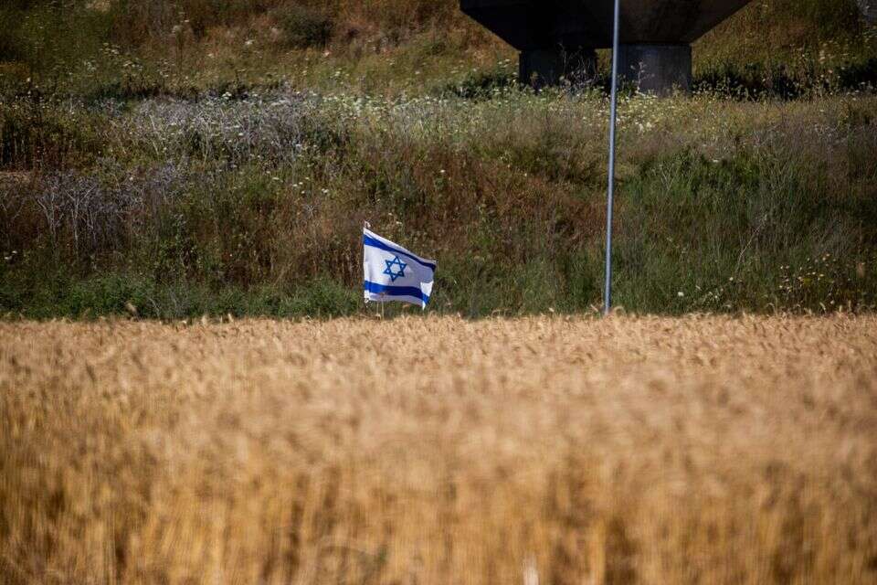 שדה חיטה במושב יסודות , אורן בן חקון