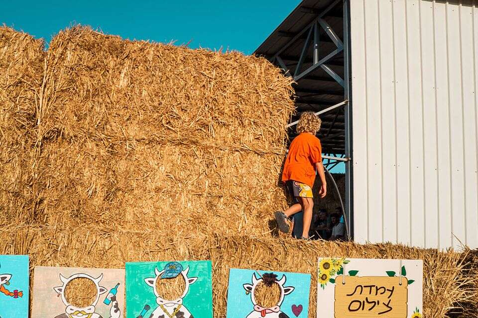 לאחר שנה וחצי של שיקום בנייה והתחדשות: טקס קריאת רפת קיבוץ כיסופים על שם מנהל הרפת ראובן הייניק שנרצח בשבעה באוקטובר , דויד פרץ
