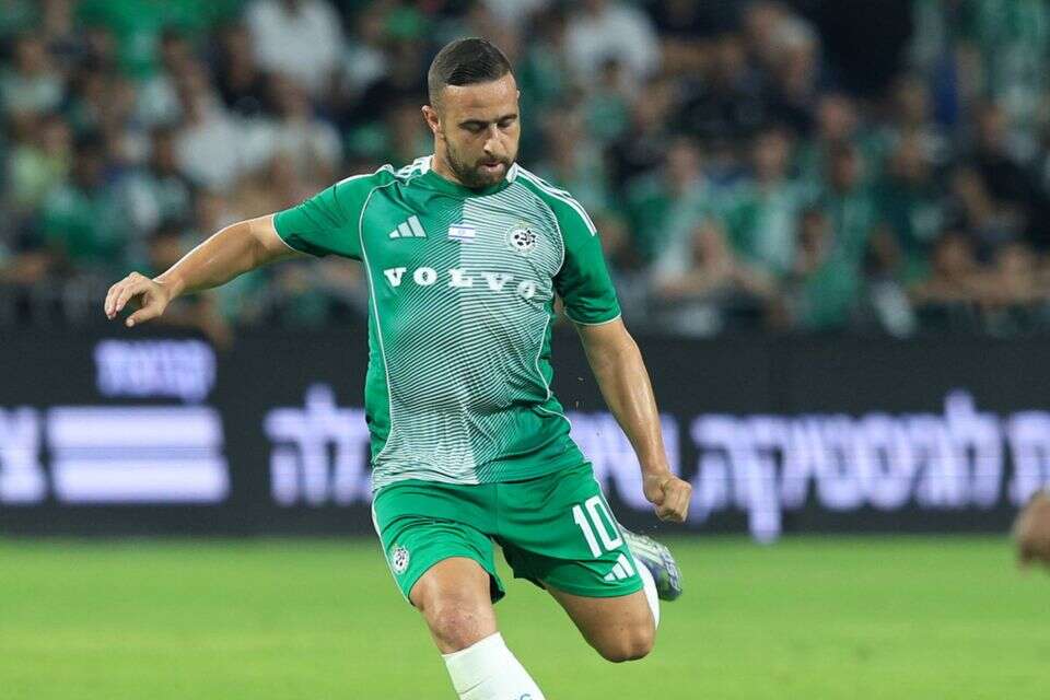 דיא סבע , אלן שיבר