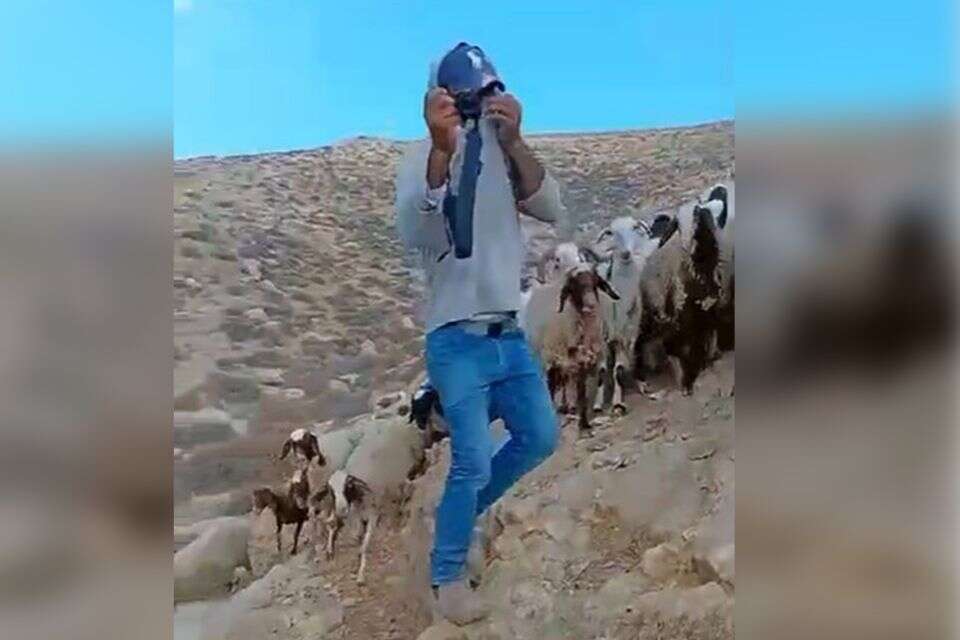 הפלשתיני שתקף רועה צאן , חוננו