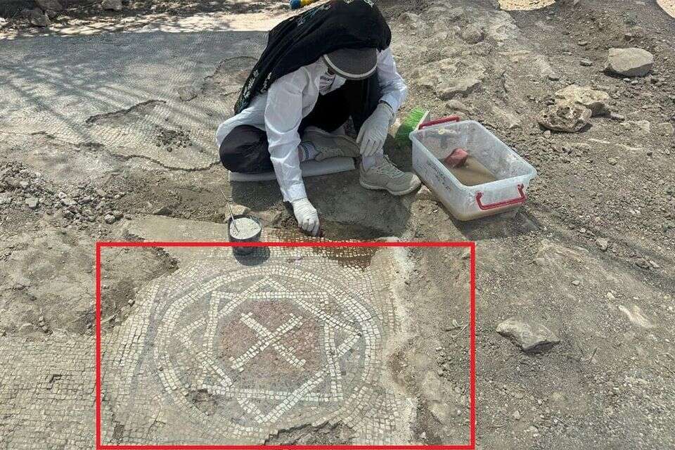 הפסיפס שהתגלה בטורקיה , DHA