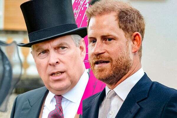 הנסיך הארי נגד הנסיך אנדרו , Hola trust via AP, Pool via AFP