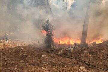 שריפה פרצה ביער בית קשת , עובדי ויערני קק״ל