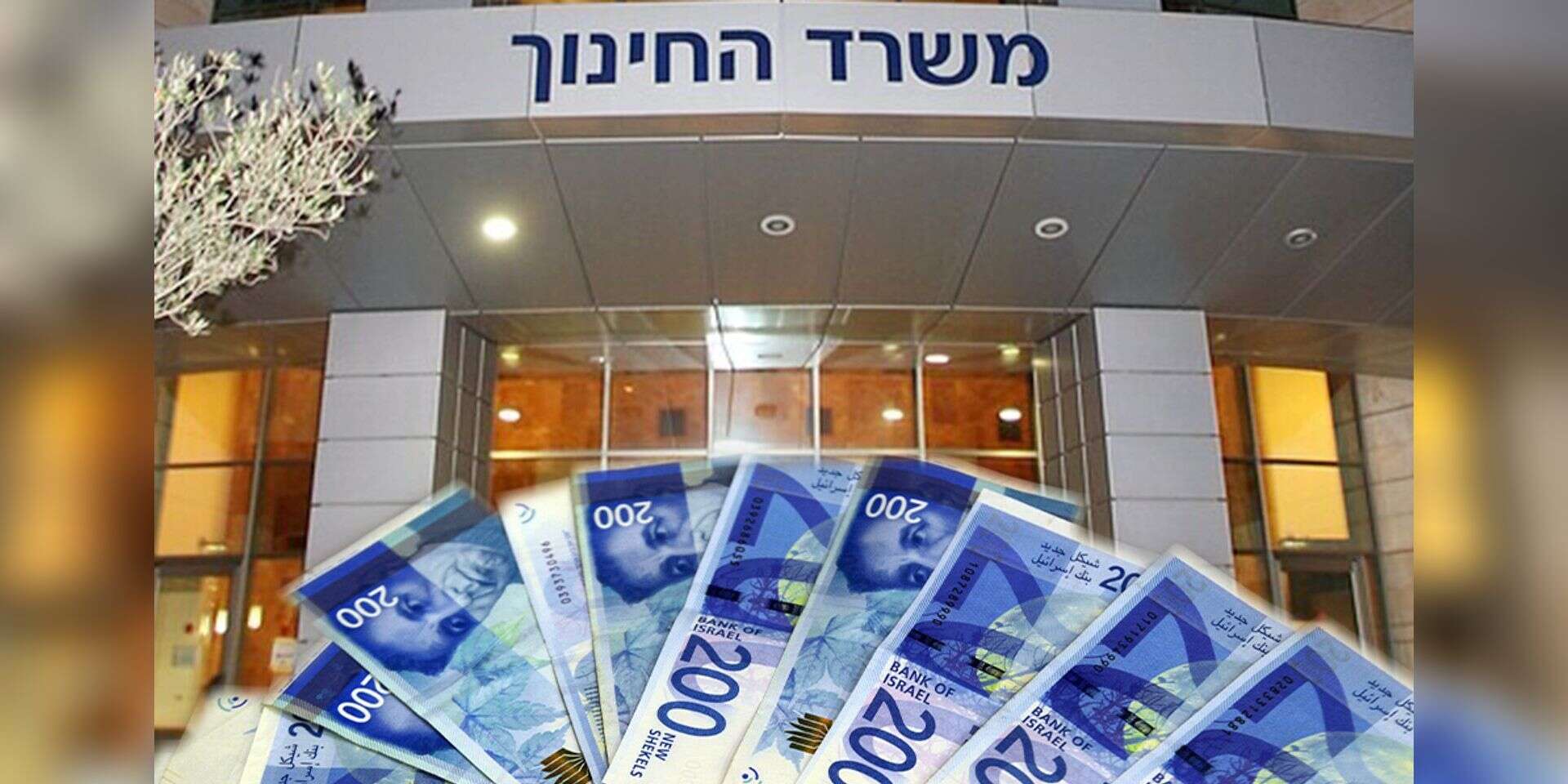 משרד החינוך, לאן הולך הכסף? , דודו גרינשפן