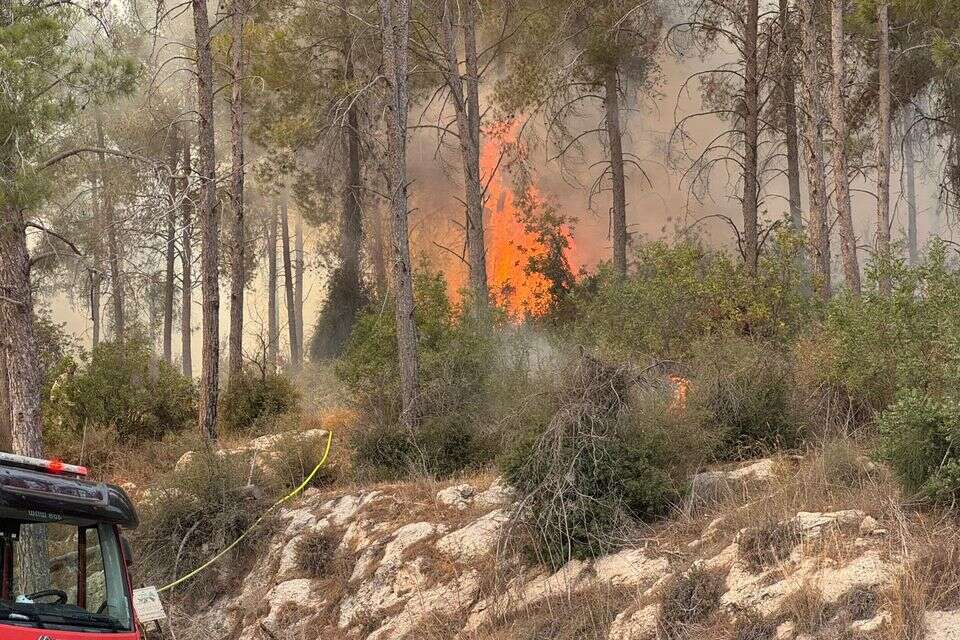 שריפה משתוללת ביער אשתאול , קק"ל