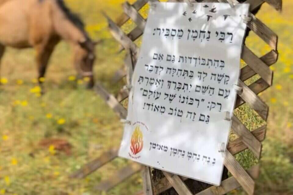 צילום יח"צ , 