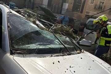 עץ קרס על רכב בירושלים , דוברות מד"א