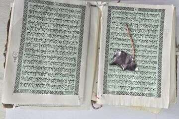 הפריטים שהוחבאו , דוברות שב"ס