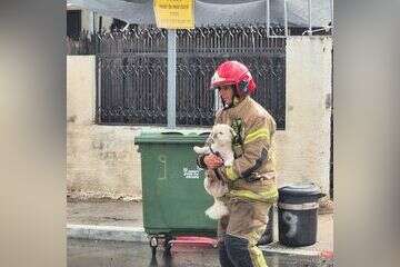 כלב חולץ משריפה ברחובות , כיבוי והצלה