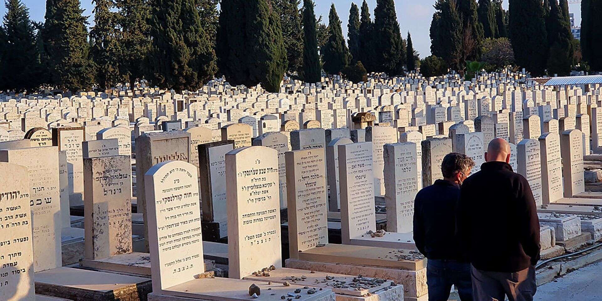 בית קברות, אילוסטרציה , משה שי