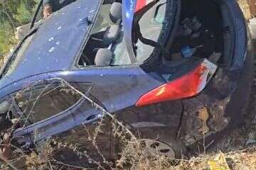 זירת החיסול בנבטייה , רשתות ערביות