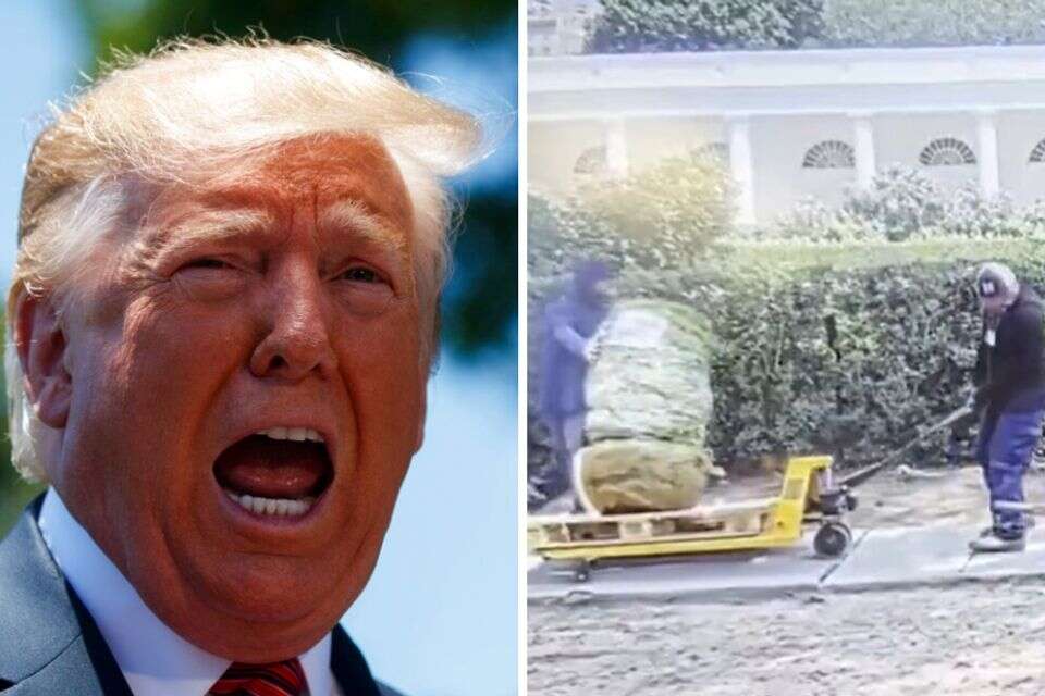 טראמפ לצד עובדי הקבלן שעיצבנו אותו , AP