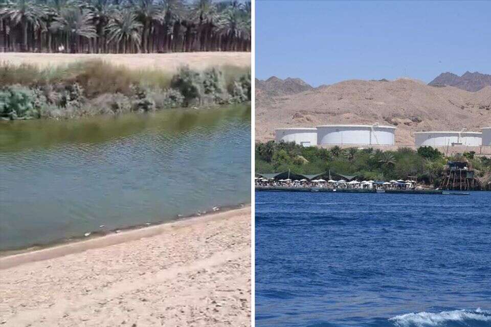 מפרץ אילת והדגים המתים ,