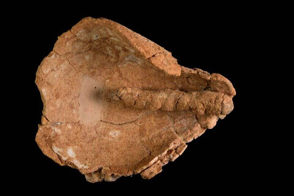 הנר ובו פתילת בד מהקדומות הידועות בעולם , דפנה גזית, רשות העתיקות