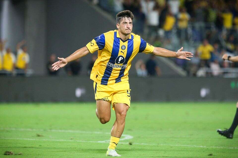 יון ניקולאסקו חוגג , עמי שומן