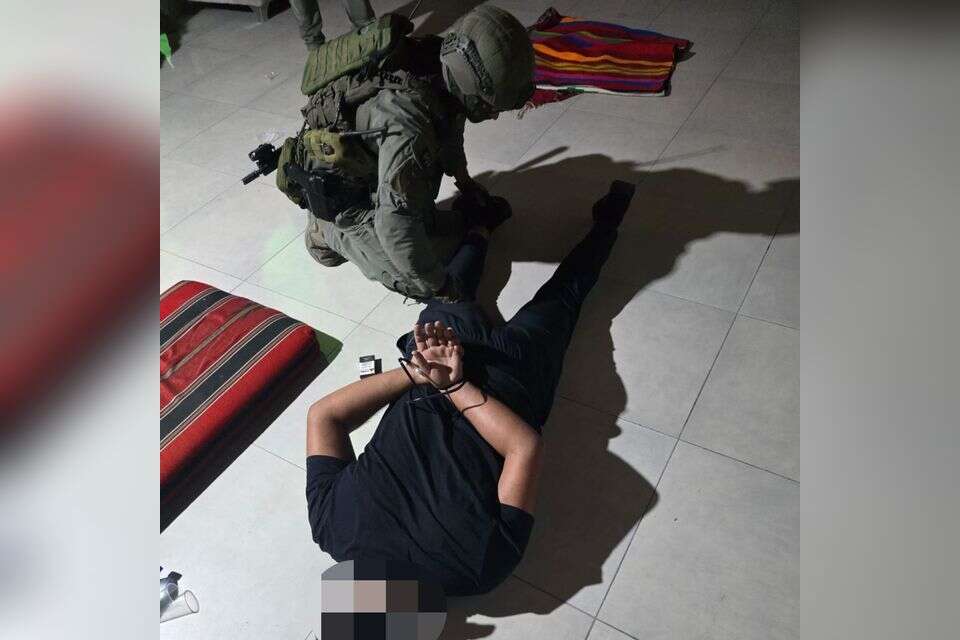 מעצר חשוד בביצוע נקמת דם , דוברות המשטרה