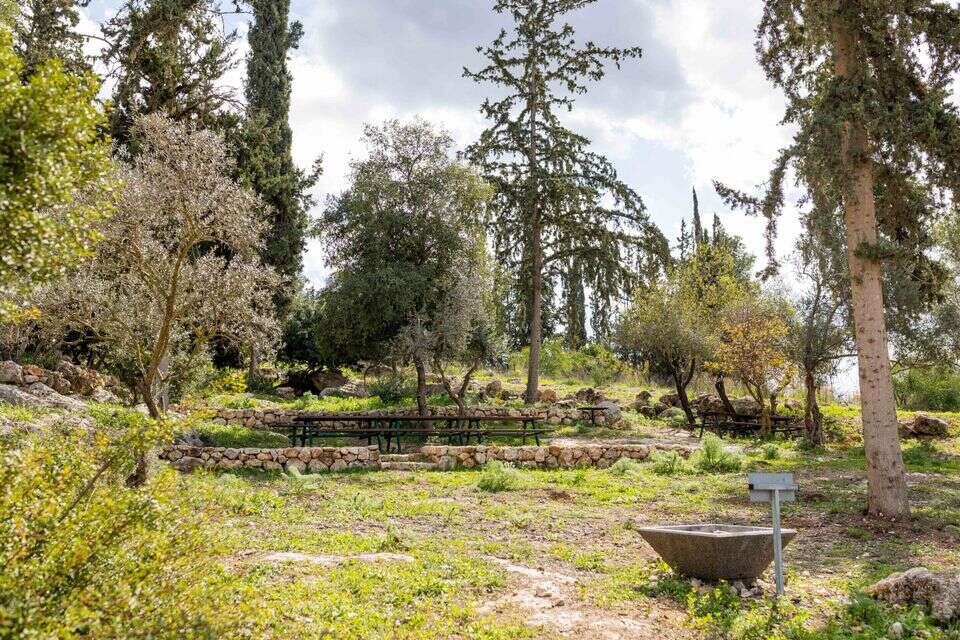 יער קדושים , נעמה שטרן