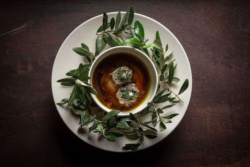 פיקואל , דוד מויאל