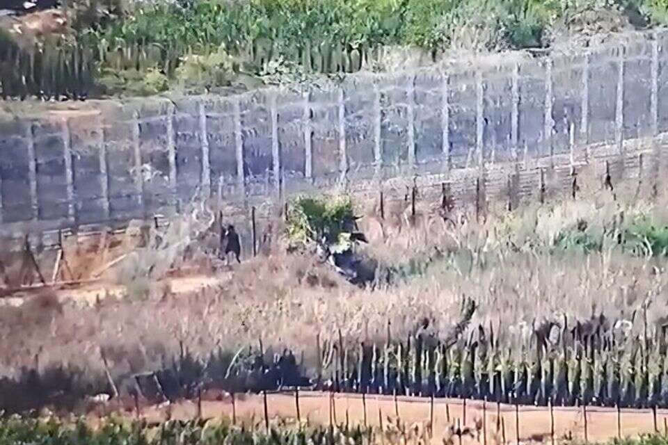 שב"חים חודרים דרך פרצה בגדר קו התפר , ללא