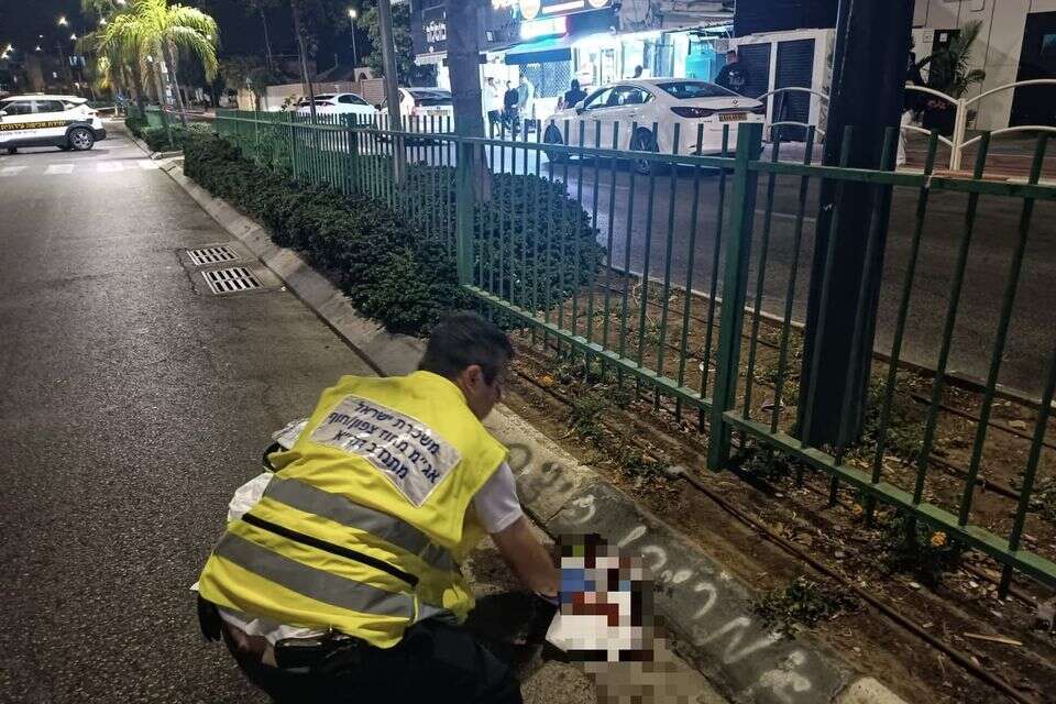 זירת התאונה שבה נהרגה שרה צ'רקסוב , דוברות זק"א