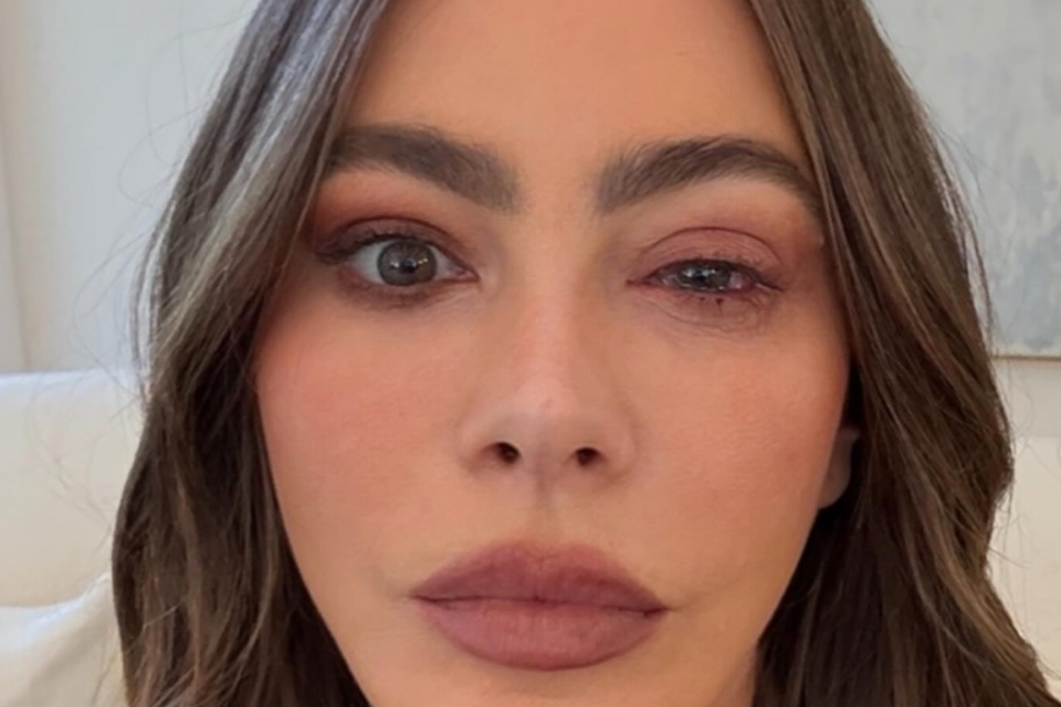 מתוך עמוד האינסטגרם , sofiavergara