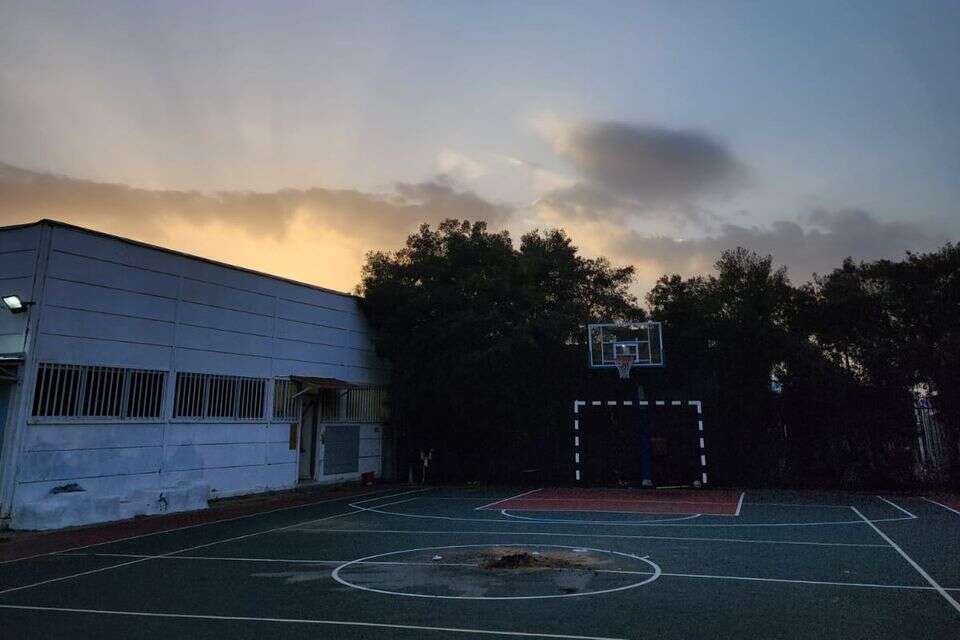 דמוקרטי, וולדורף או מטעם משרד העבודה? בתי הספר הכי לא שגרתיים בישראל