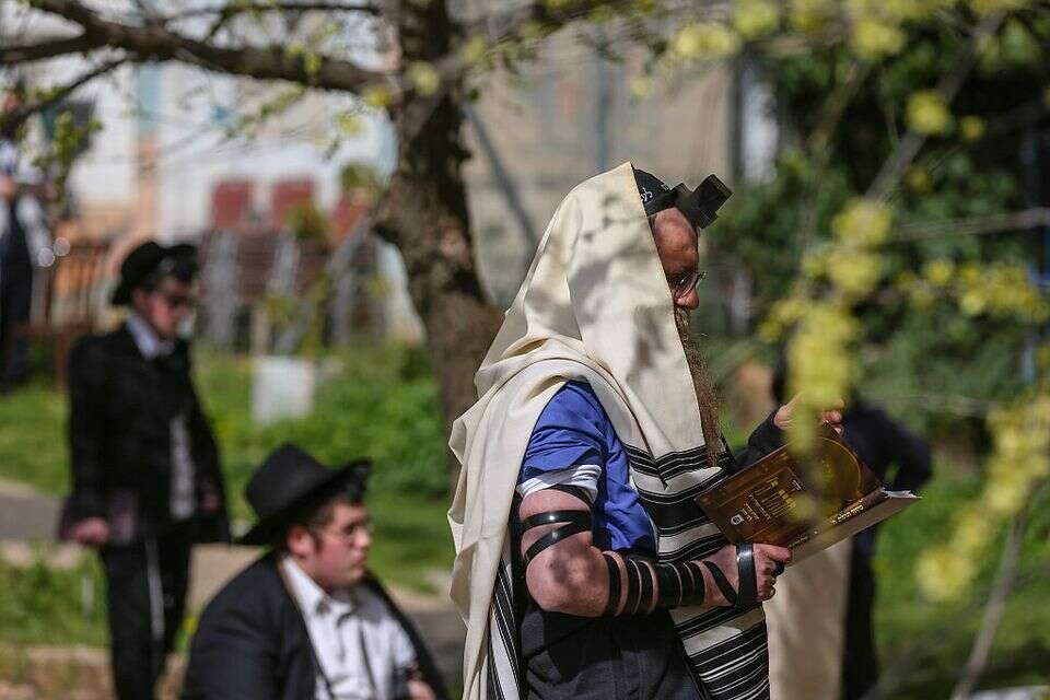 חסידי חב"ד בצפת (ארכיון) , דוד כהן - ג'יני