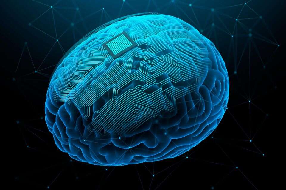 "כיתוב מחשבות": חוקרים יפנים הצליחו לקרוא דמיונות