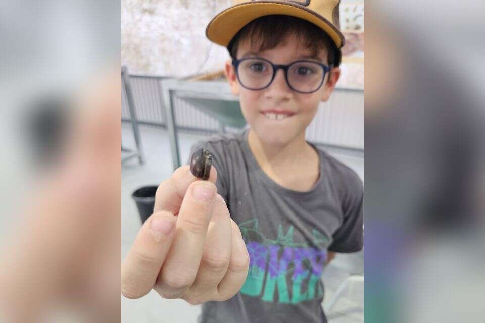 ינאי טבע (10) מראש העין, גילה את החרפושית הנדירה , יחידת קמ"ט ארכיאולוגיה