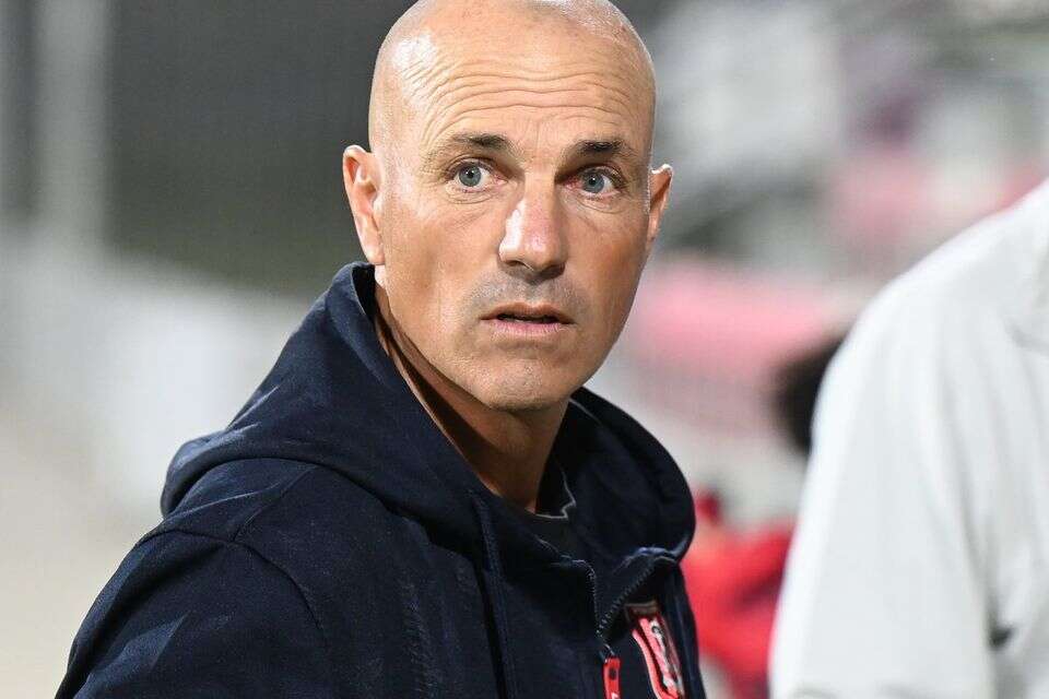זיו אריה , ברני ארדוב