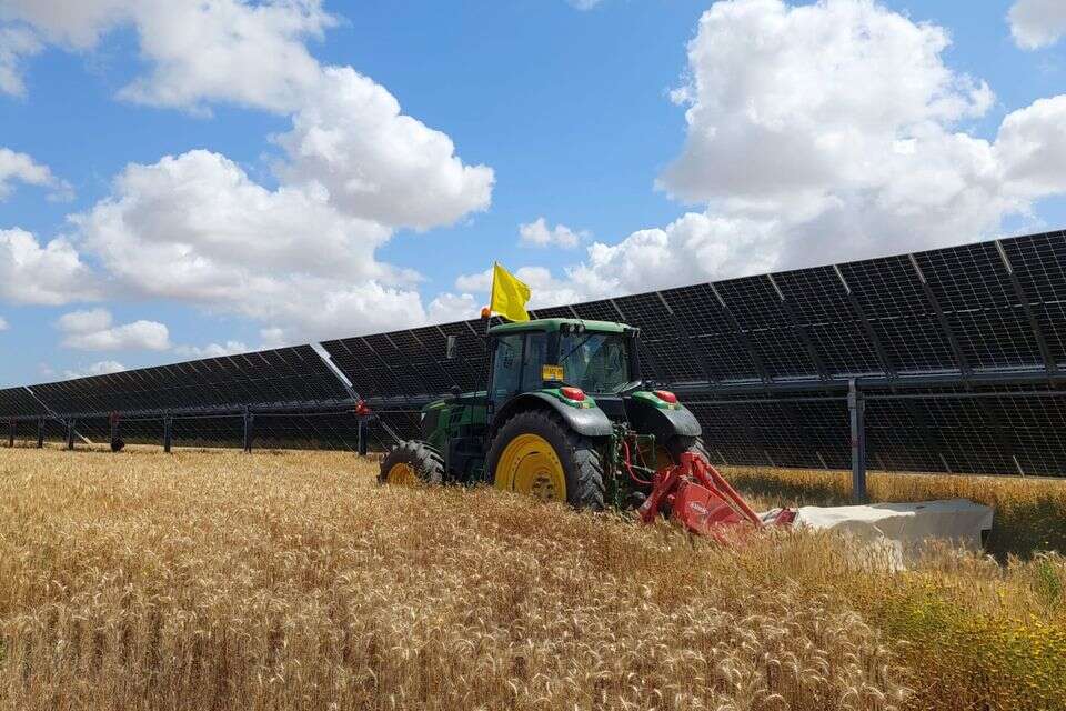קמח יפתח , 