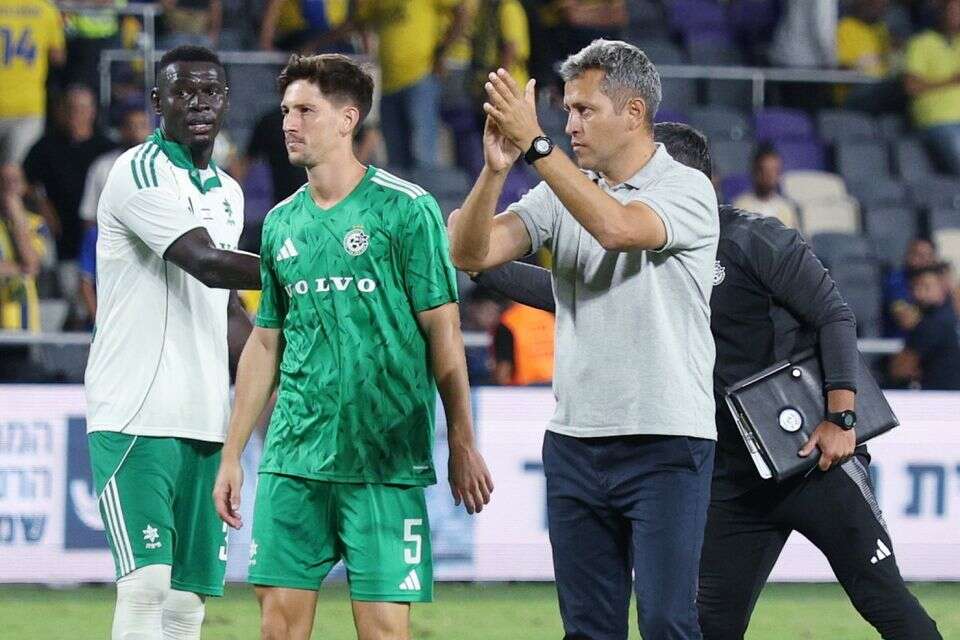 דייגו פלורס , אלן שיבר
