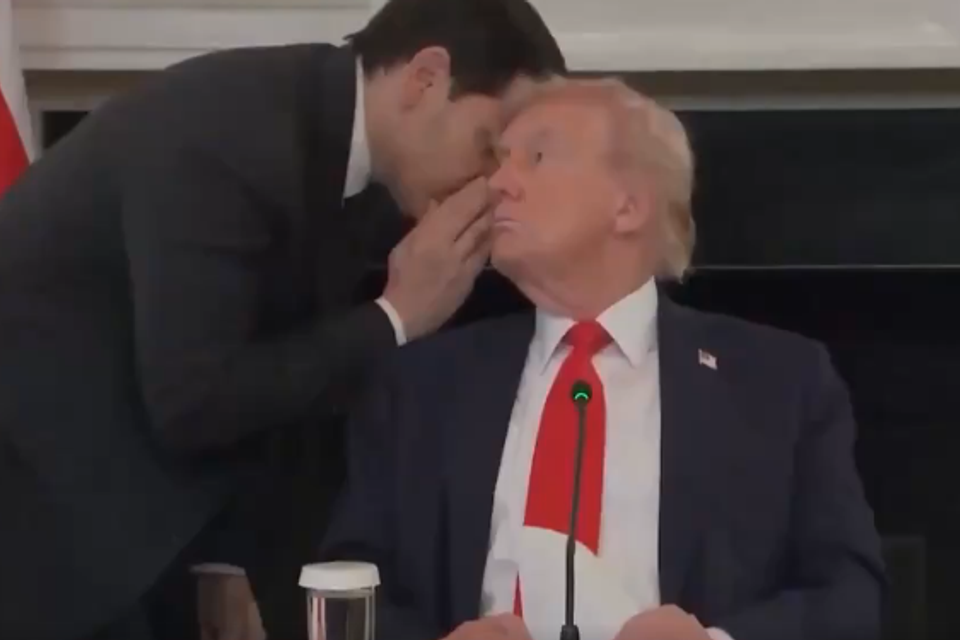 טראמפ ורוביו , רשתות