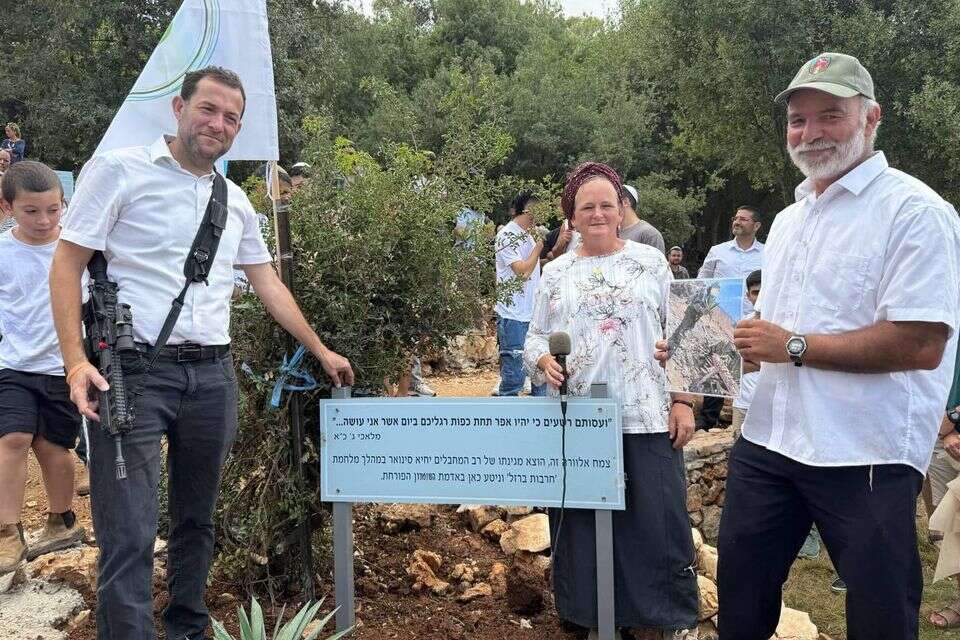 הצמח שנשתל מגינתו של סינוואר. , מועצה אזורית שומרון