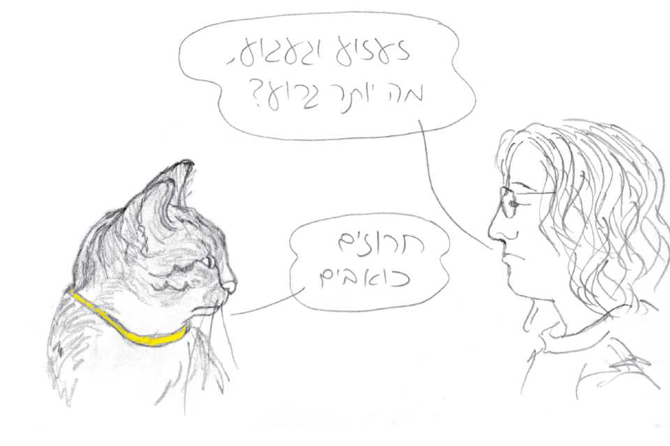 מתוך "רע בלי מלרע", איור: אילנה זפרן , לוקוס