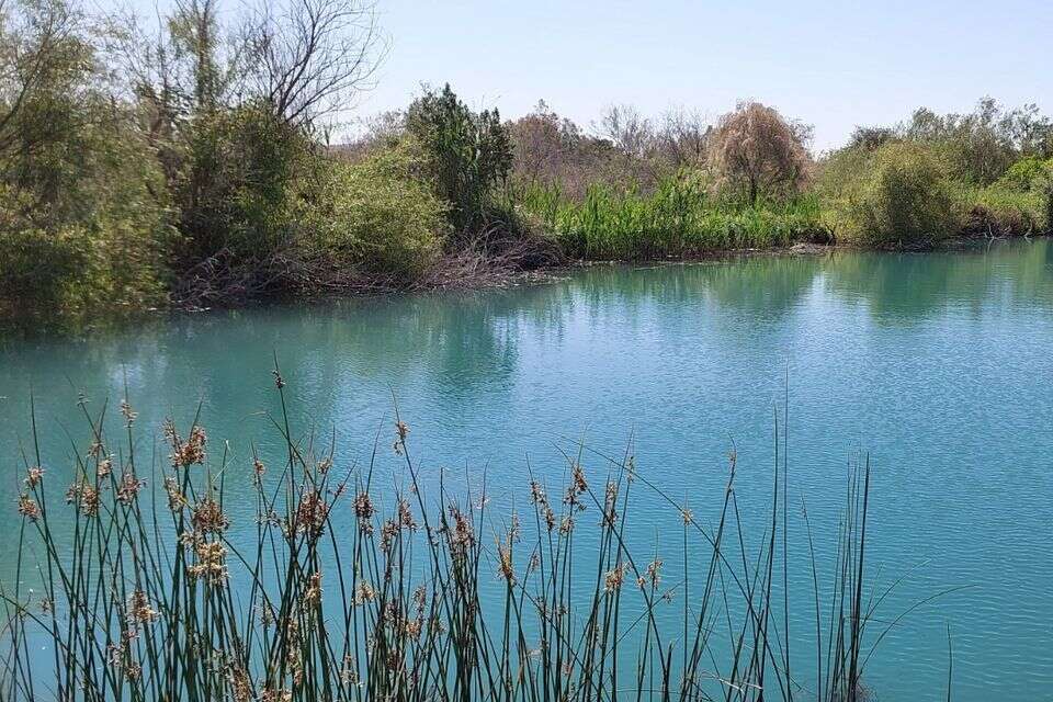 החקר עד עכשיו היה חיוני, אבל פגע בטבע והשמיד בע"ח. שמורת הטבע עין אפק , ד"ר ניר שטרן