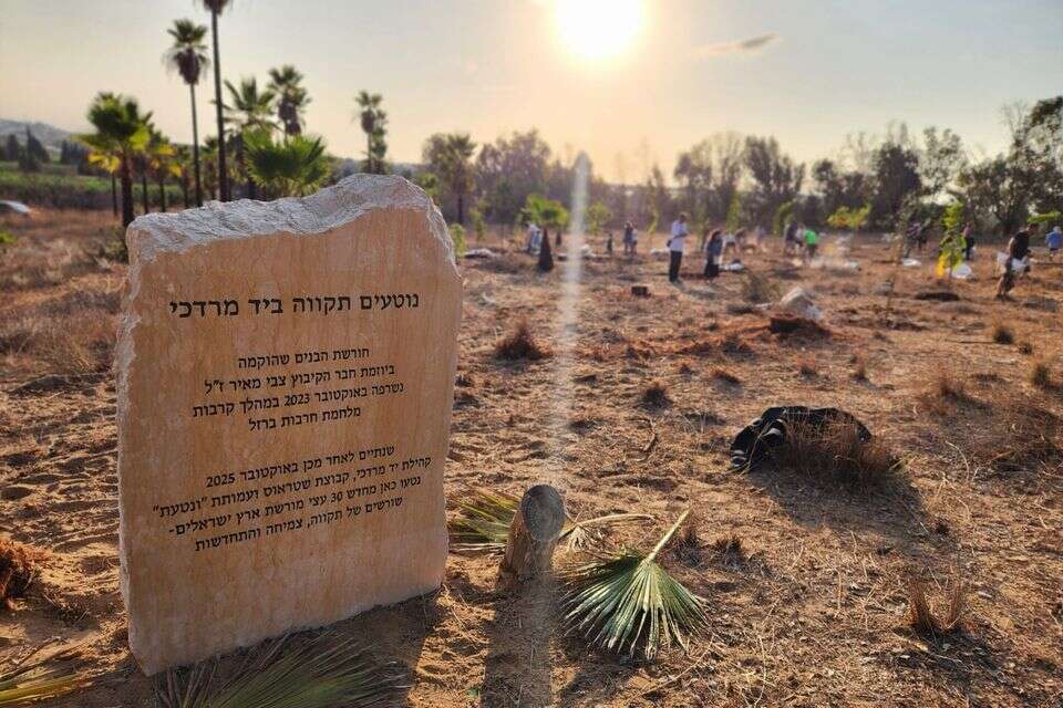 נטיעה מחודשת בחורשת קיבוץ "יד מרדכי" , חברת שטראוס