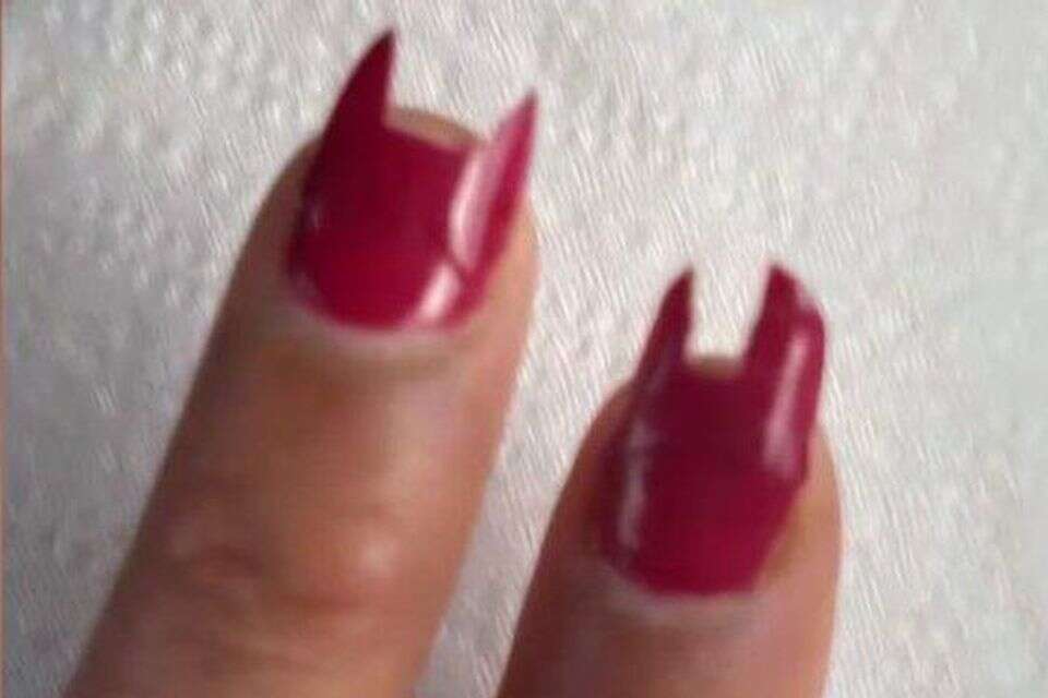 הציפורניים שכורסמו ע"י חולדה , לפי סעיף 27א לחוק זכויות יוצרים