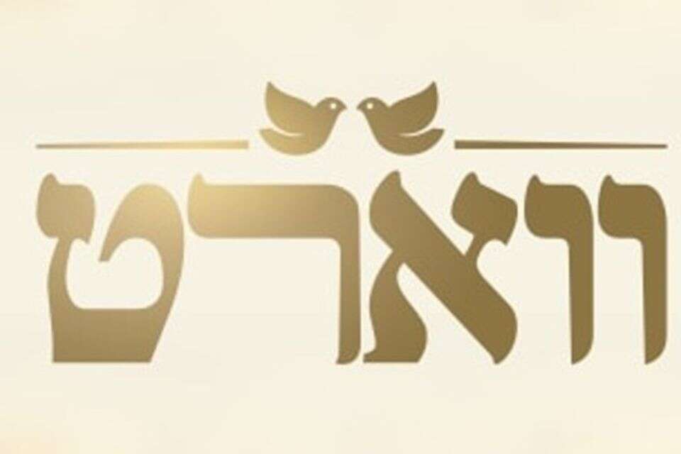  שמונה חודשים אחרי ההחלטה להיפרד, הם חוזרים לקשר. משתתפי "ווארט" , רשת 13