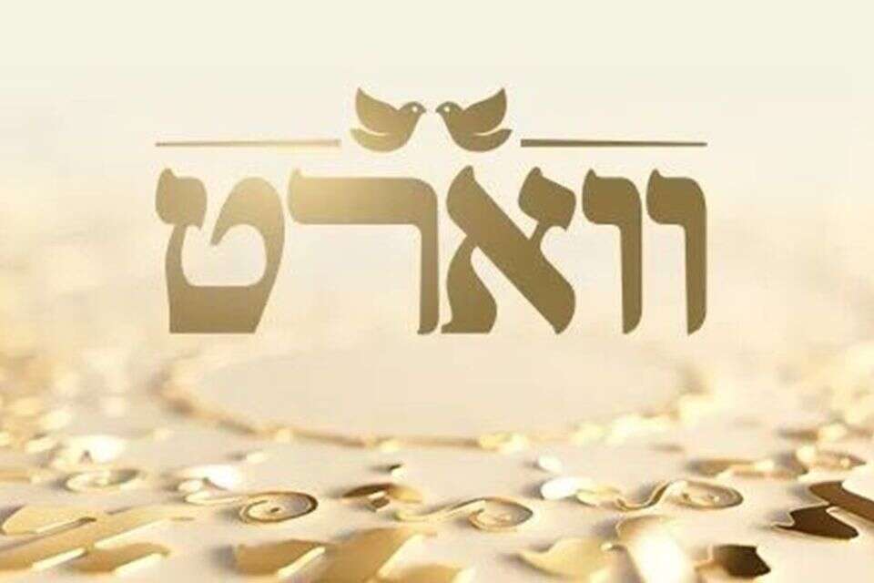 לא הצליח. "ווארט", רשת 13 , רשת 13