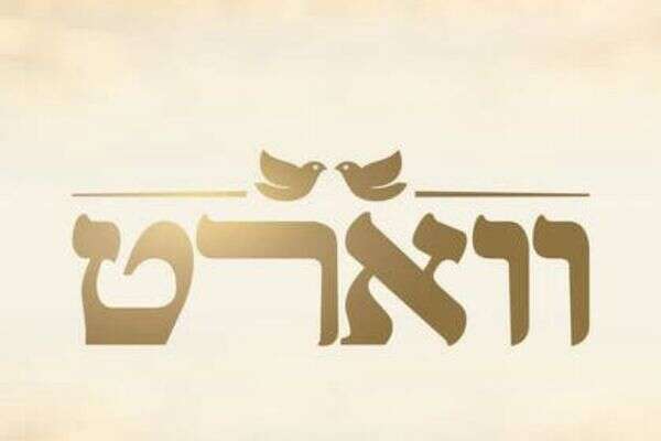 ווארט לוגו , רשת 13