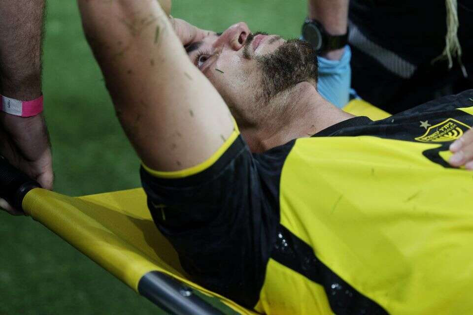 לוקה גדראני , אלן שיבר