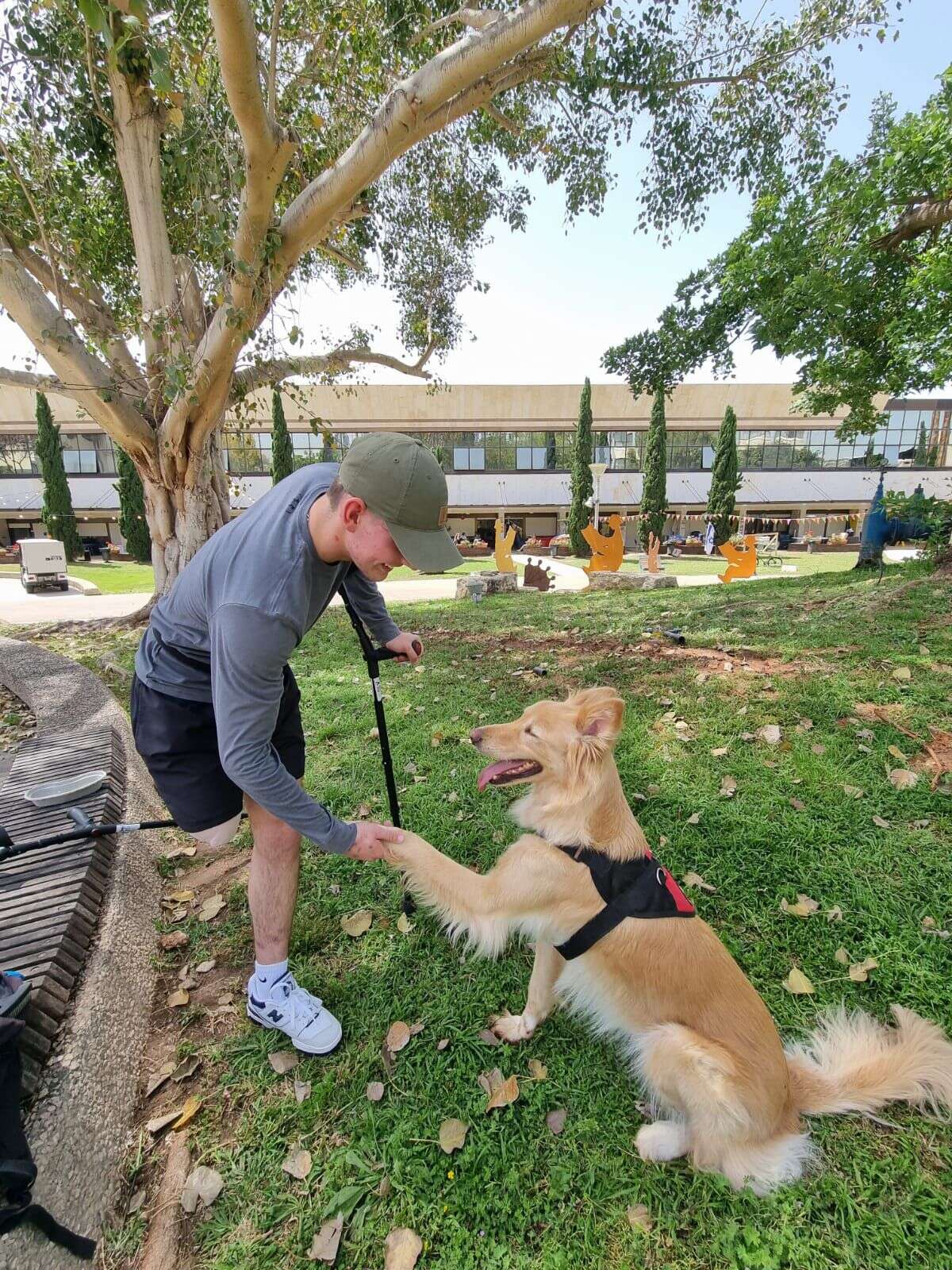 דניאל קופילוב , אוסף פרטי
