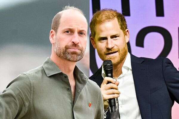 הנסיך הארי והנסיך וויליאם , AP, AFP